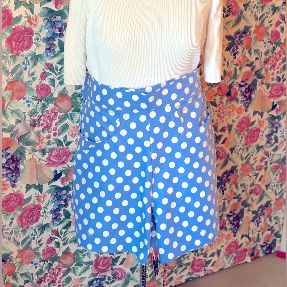 Polka Dot, Retro Highwaisted shorts, 2X